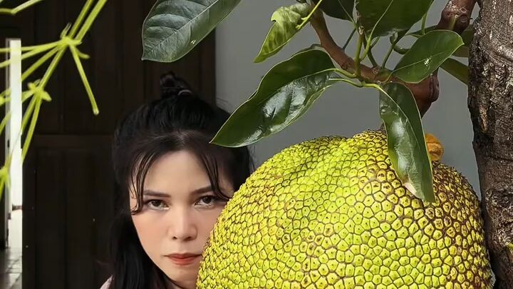 [RAP] - LƯƠNG HỎNG TĂNG