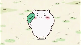 Elegant, so elegant (｡ò ∀ ó｡)