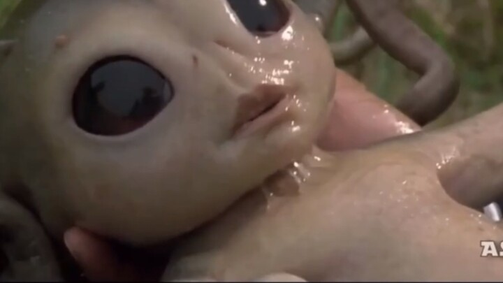 【Star Wars】The Origin of Master Festus