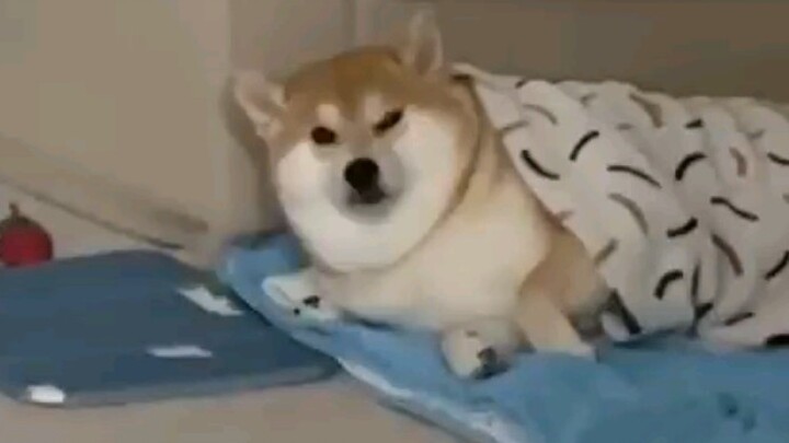 You still know how to come back to this home?