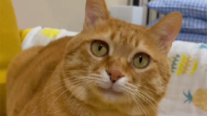 Dokter: Kok mulut bisa kena jamur kaki?!