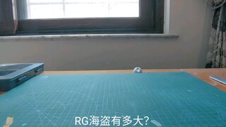 RG海盗有多大？直观对比