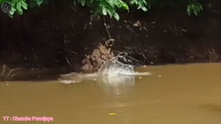 SAMBARAN GANAS TOMAN SUNGAI PENGABUAN