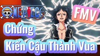 [Đảo Hải Tặc] | AMV Chứng Kiến Cậu Thành Vua