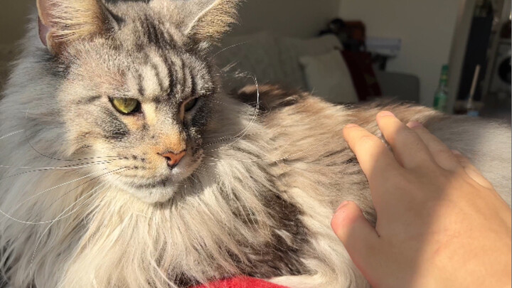 The child has grown up, but not quite yet.