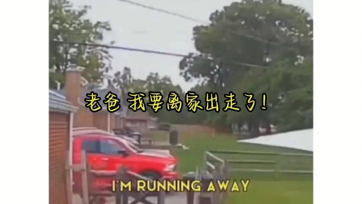Khi con trai cố mang ván trượt và thanh kiếm kim cương bỏ nhà đi