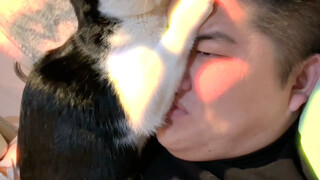 【保安日记-召唤兽】最新视频来袭，快来看看吧！