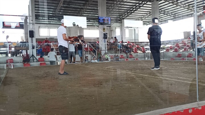 3 hits champion mangaldan 2nd figut