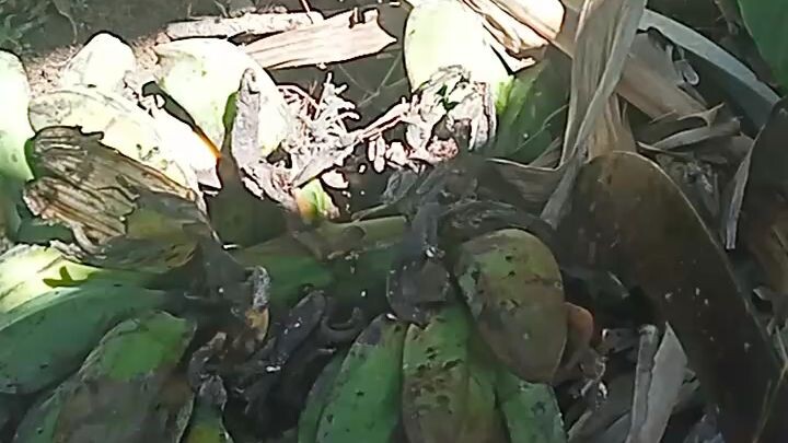 kunti nlng na Tira😔