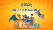 Pokemon phần 1 tập 48 lồng tiếng