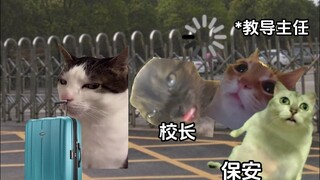 光是想想都爽的不要不要的