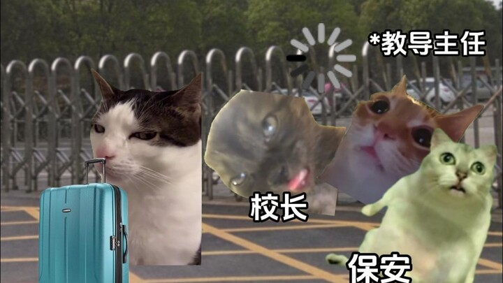光是想想都爽的不要不要的