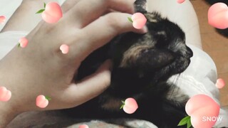 Cute