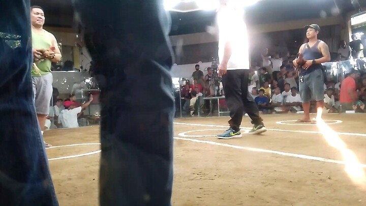 bandam vs. bantex double bulado