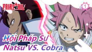 [Hội Pháp Sư] Natsu VS. Cobra (Phần 1)_1