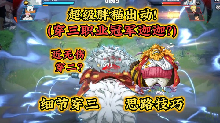 Fat Cat Pulls Off a Triple-Class Champion Run with Jiajia—Or Is It a Flawless Dual-Class Run? Pro Ti