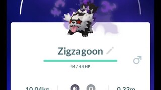 Pokémon GO-Purifying Shadow Galarian Zigzagoon