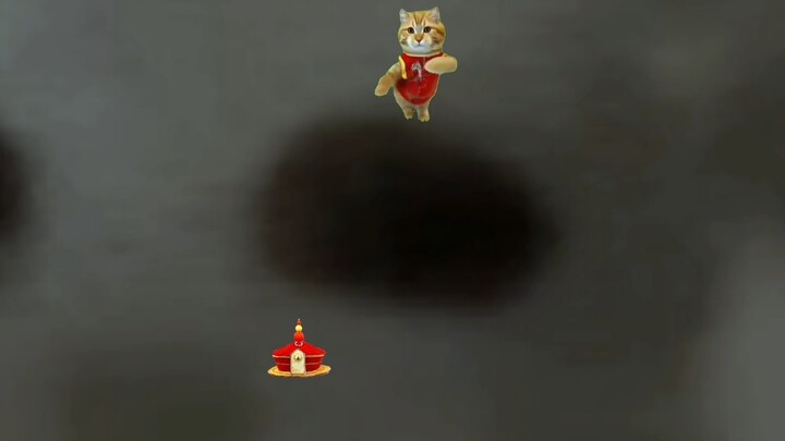 There are many historical cats, come and see