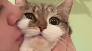 When I came home drunk to find my cat