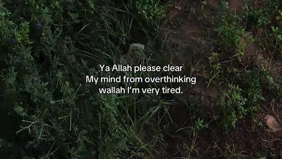 Lost Everything 💔💔