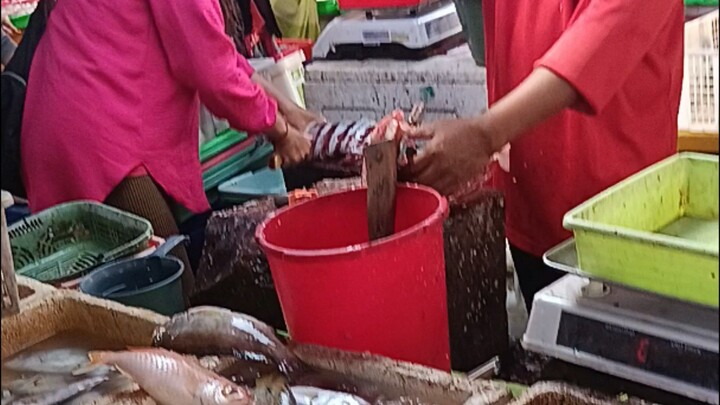 semalaman edi edit malah pusing mending kepasar ikan dulu