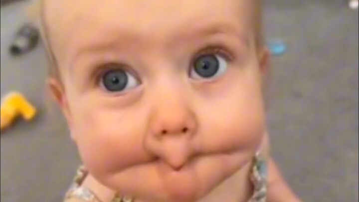 【ชีวิตประจำวันสุดฮาของสิ่งมีชีวิตบนโลก #244】