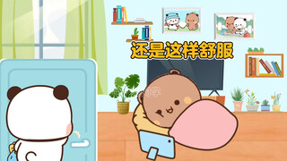 哈哈哈哈 布布根本就是熊生赢家