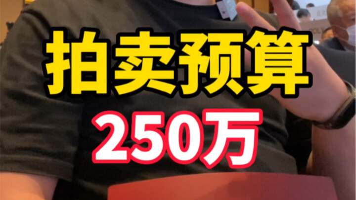 拍卖现场遇见礼仪小姐姐