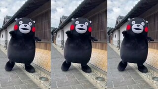 熊本熊跳了Dangerholic诶！好可爱呀！