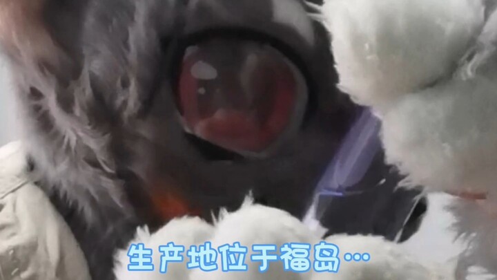 Xong rồi xong rồi, giờ lại ăn nhiều hơn nữa QAQ…