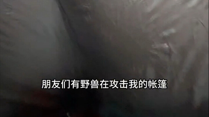 [Diary] Tent emergency!