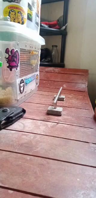 basic 50/50