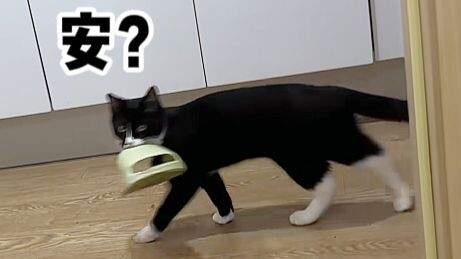 [Animal Voice Acting] A creature with a terrible reputation but outstanding sales