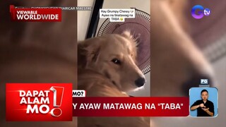 Aso, ayaw matawag na “taba” | Dapat Alam Mo!
