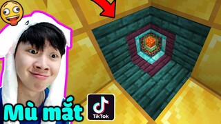 Vinh Đau Mắt Vì Nhìn Khối Này 🤪 - THỬ NGHIỆM CÁC VIDEO TIKTOK MINECRAFT TRIỆU VIEW (Phần 30)