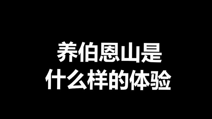 Pet trivia: If it weren’t for one fatal flaw, Xiao Bo would have already become a nationwide sensati