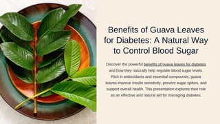 Benefits of Guava Leaves for Diabetes A Natural Way to Control Blood Sugar