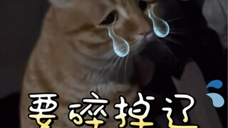 “你这样有可能是不对的”