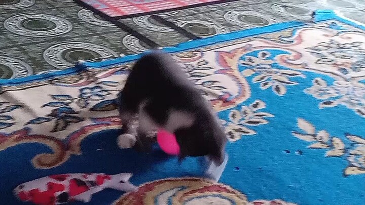 lagi aktif aktifnya ya