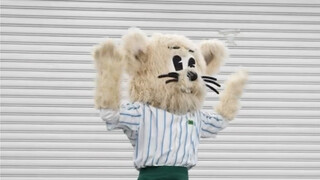 【StrayKids】تحدي البحث عن دمية الفأر من الفيديو الموسيقي؟؟ السوبر بول!