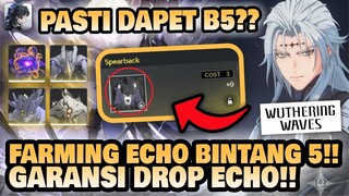 TUTORIAL FARMING ECHO BINTANG 5!! Pasti Dapet Echo B5?? 🤔 | Wuthering Waves