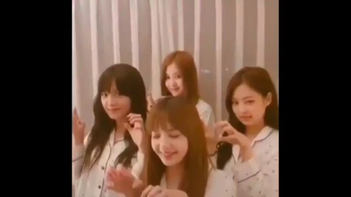 Blackpink cute vid, i swear!!!!