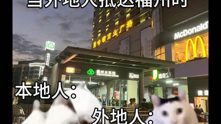 Classical Chinese and the Fuzhou dialect—sometimes even locals can’t understand them!