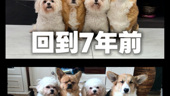 ทำช่องยูทูบเกี่ยวกับสัตว์เลี้ยงมาปีที่ 7 วันนี้ขอหวนคิดถึงอดีตกันหน่อย