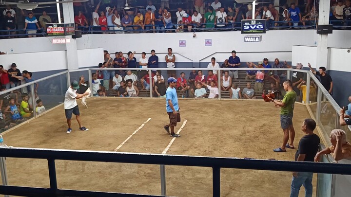 LEGBA SINULOG FESTIVAL DERBY 2025 - ELIMS (2nd fight win - dg white)