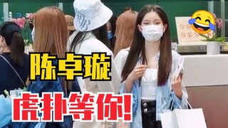 男饭喊话：陈卓璇快来虎扑！虎扑等陈姐！