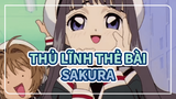 [Thủ lĩnh thẻ bài Sakura] Các nhân vật chính xuất hiện, bản 1.0