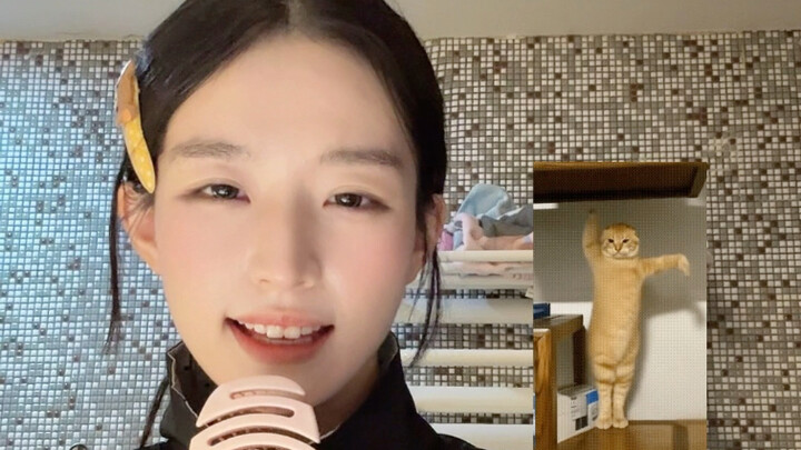 Ha G.E.M. Mi “Sacrifice (Berebut)” (Versi Hakimi)