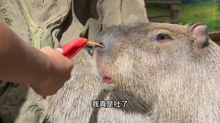 It's really quite helpless.