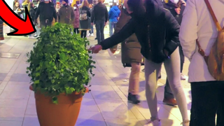 เธอมีความหวาดกลัวในชีวิตของเธอ !!! บุชแมนเล่นตลก